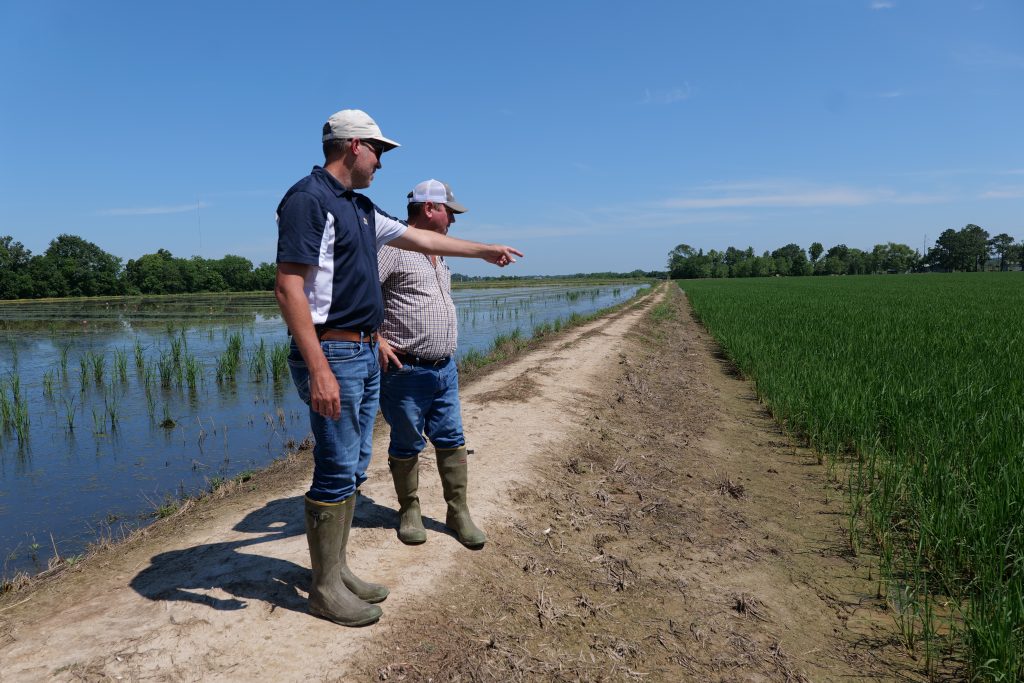 Two men in knee-high rain boots stand on a dirt road, between an agricultural field and a body of water. One man is pointing towards the field, talking to the other man.